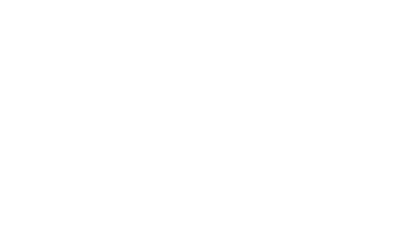 풍부한 개발경험 보유기반의 자체 BM을 구축하였습니다.